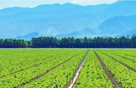 farming landscape image